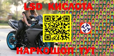 дмт Донской