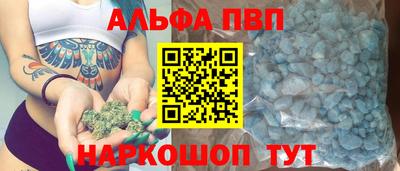 дмт Донской