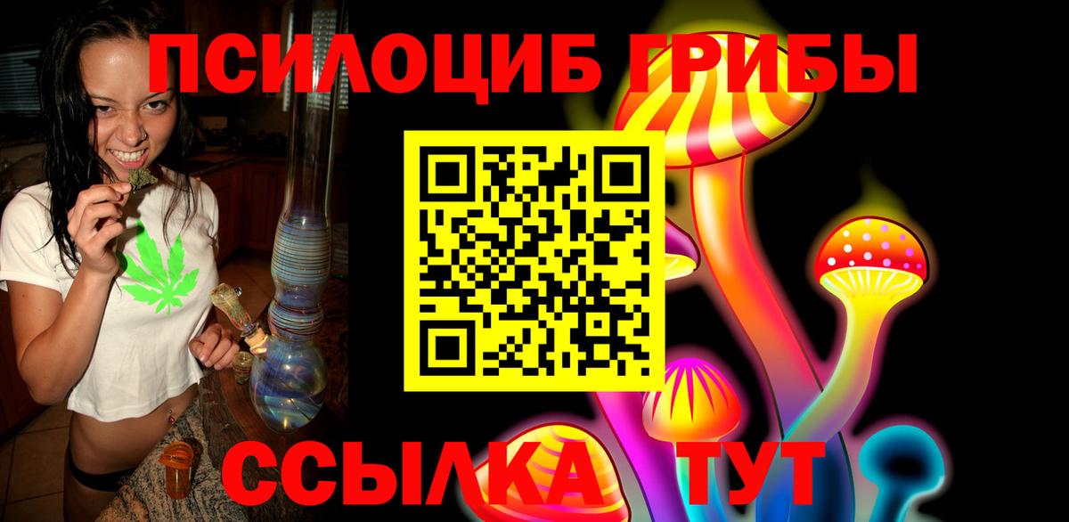 Псилоцибиновые грибы Psilocybine cubensis Щёлково