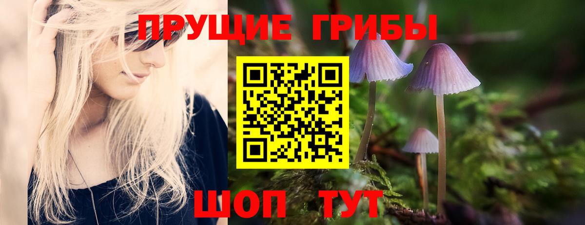 Псилоцибиновые грибы ЛСД  Вход с VPN  Галлюциногенные грибы GOLDEN TEACHER  Щёлково 